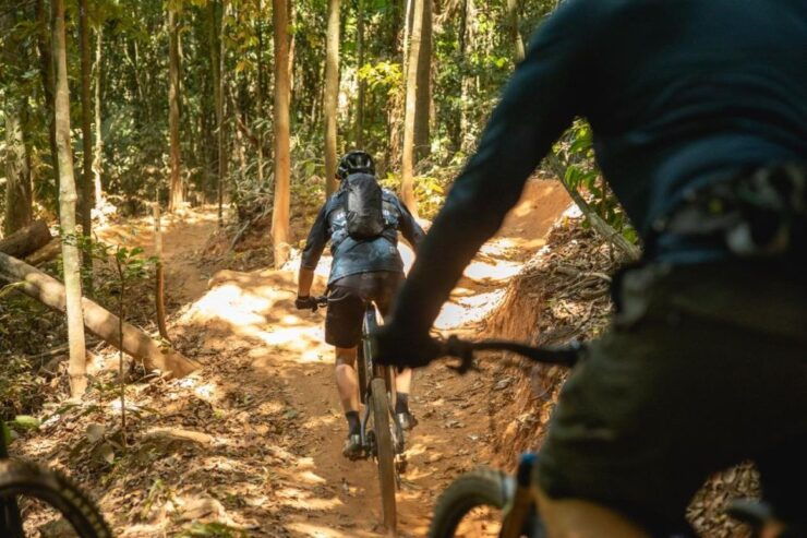 Cairns: Mountain Bike Tour at World Famous Smithfield - Highlights