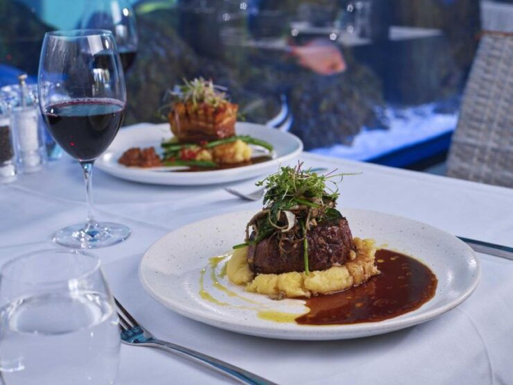 Cairns: Night at the Aquarium Guided Tour & 2 Course Dinner - Event Overview