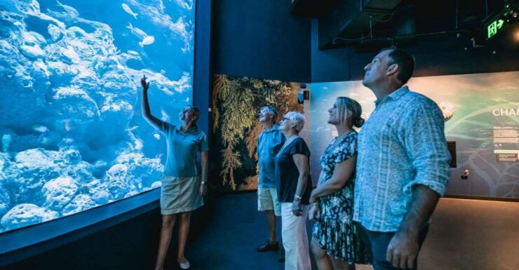 Cairns: Night at the Aquarium Guided Tour - Activity Details