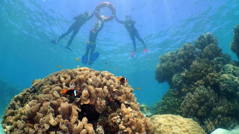 Cairns: Ocean Spirit Great Barrier Reef Full Day Tour - Practical Details and What You Need to Know