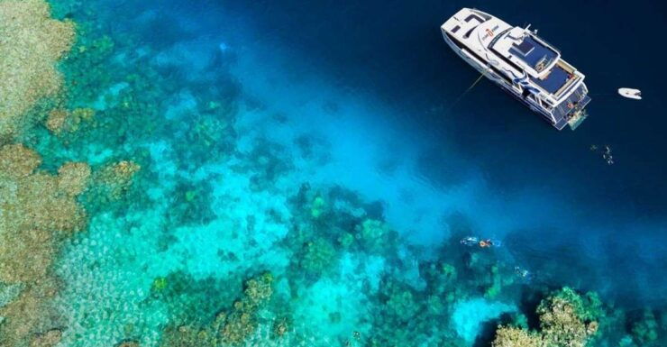 Cairns: Open Water Certified Night Dive - Night Diving Experience in Cairns