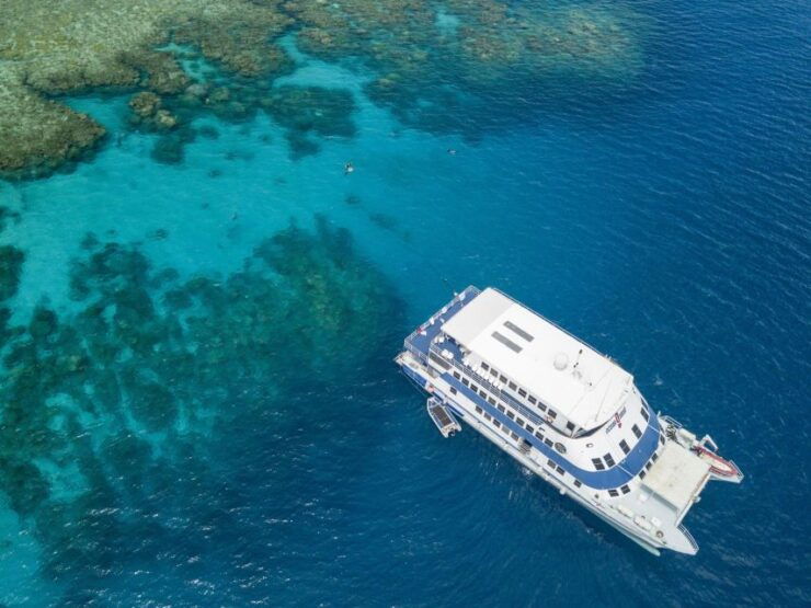Cairns: Open Water Certified Night Dive - Certification Requirements and Gear Provided