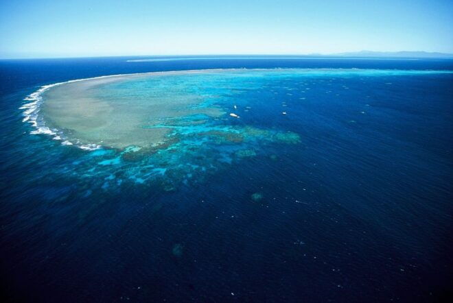 Cairns: Outer Great Barrier Reef Full-Day Tour With Lunch - Common Questions