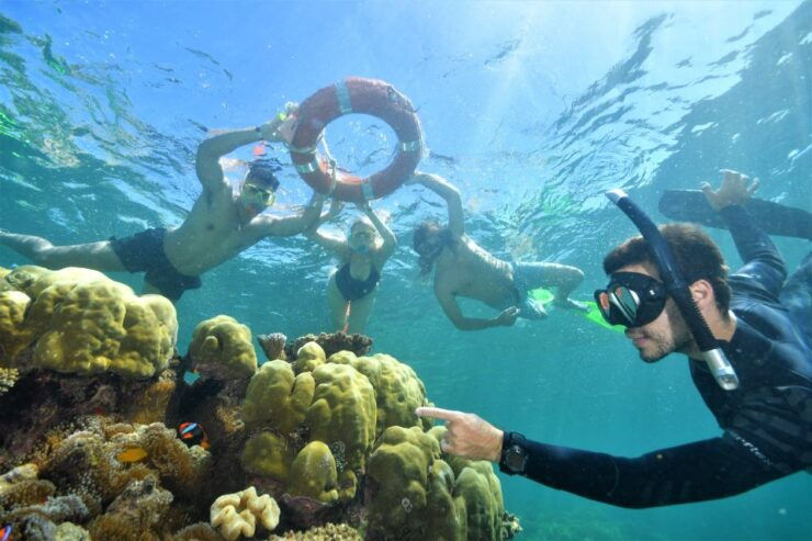 Cairns: Outer Great Barrier Reef Pontoon With Activities - Activity Details