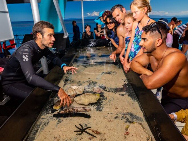 Cairns: Outer Great Barrier Reef Pontoon With Activities - Full Description