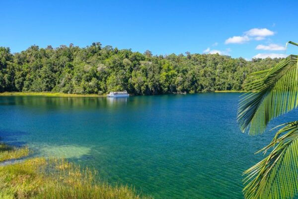 Cairns: Paronella, Lake Barrine & Millaa Millaa Falls Tour - The Sum Up
