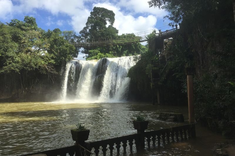 Cairns: Paronella Park Night Tour, Small Group - What the Cairns transfer makes easier