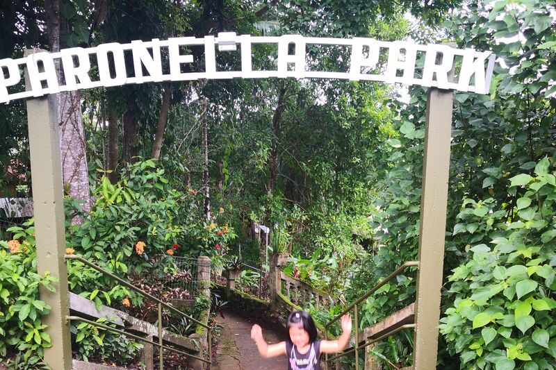 Cairns: Paronella Park Night Tour, Small Group - Who should book this evening visit