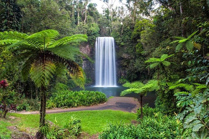 Cairns & Port Douglas All-Inclusive 7 Days Touring Package - The Sum Up