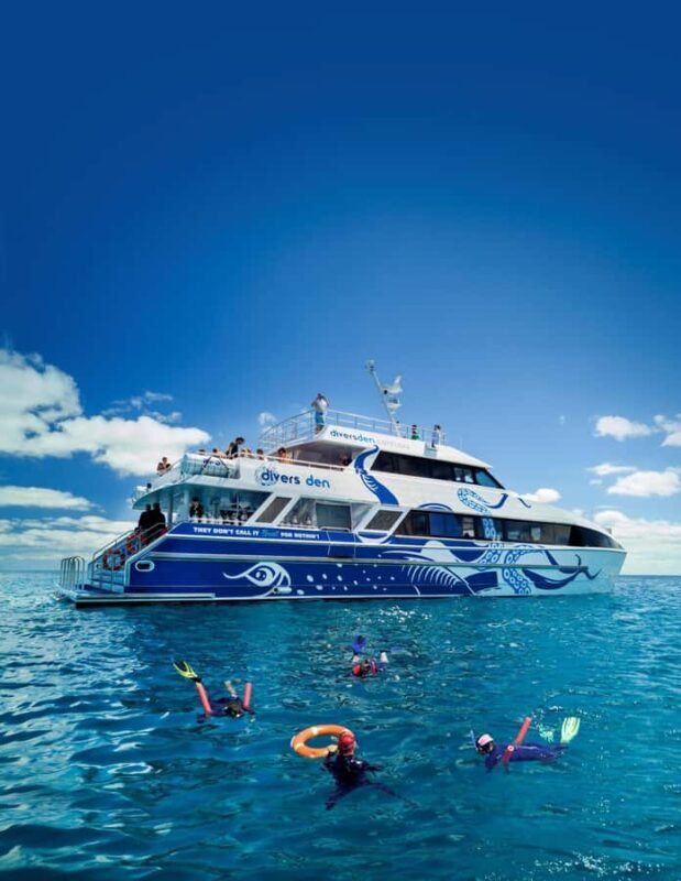 Cairns: Premium Snorkelling and Diving Reef Day Trip - The Experience: A Deep Dive into the Tour