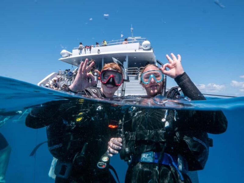 Cairns: Premium Snorkelling and Diving Reef Day Trip - Frequently Asked Questions