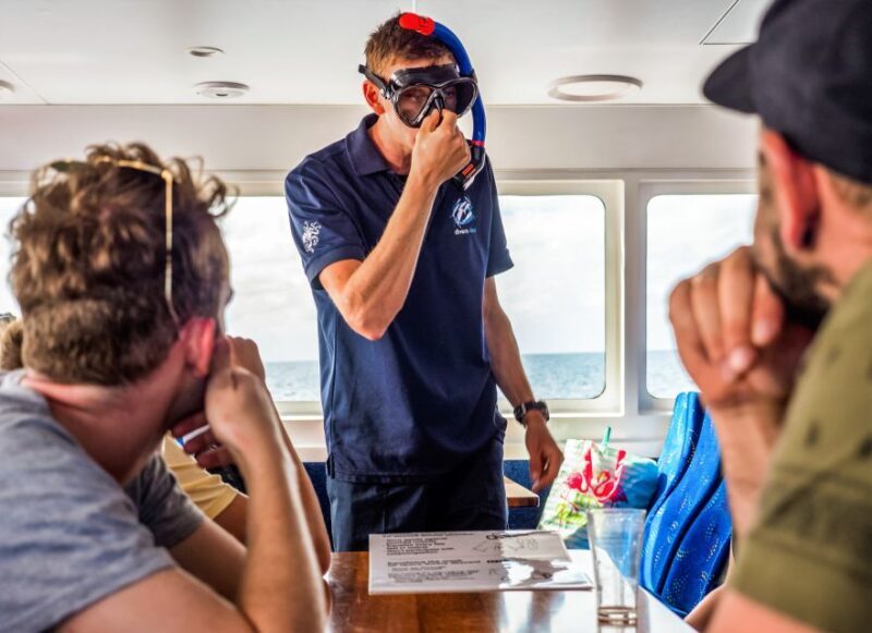 Cairns: Premium Snorkelling and Diving Reef Day Trip - Final Thoughts