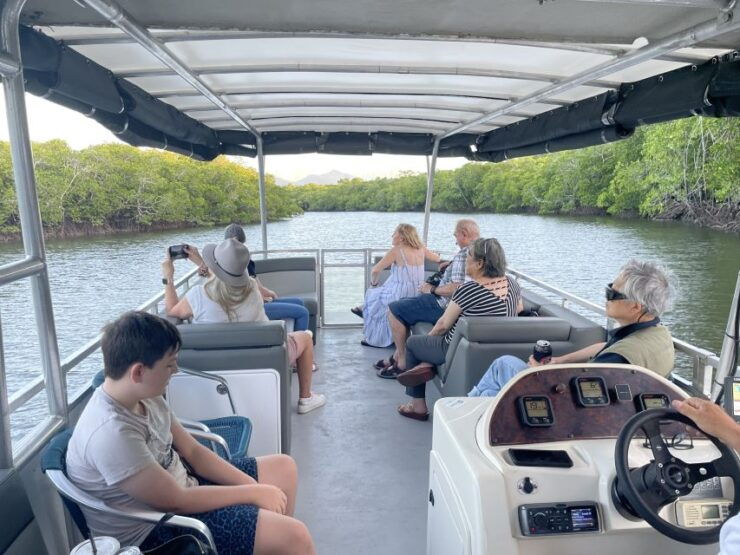 Cairns: Sightseeing River Boat Safari With Soft Drinks - Experience Highlights