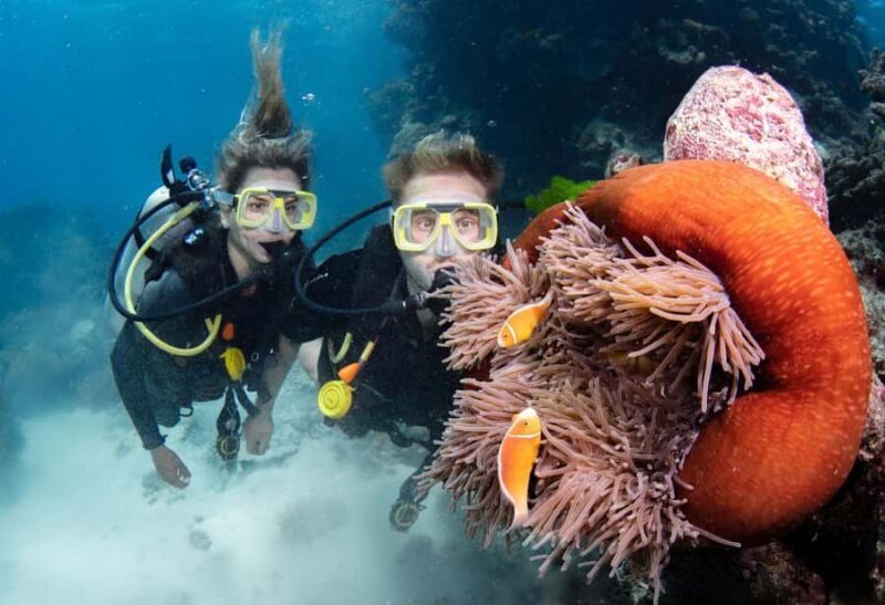 Cairns: Silverswift 3 Great Barrier Reef Sites in 1 Day - Who Should Book This Tour?