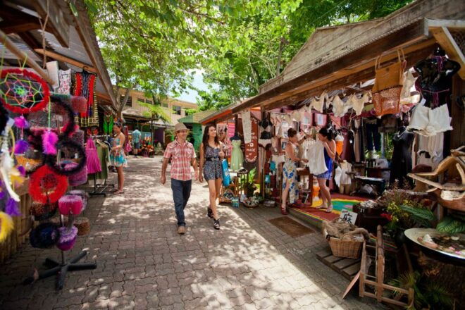 Cairns: Skyrail, Kuranda, and Rail Tour With Hotel Transfers - Important Information for Visitors