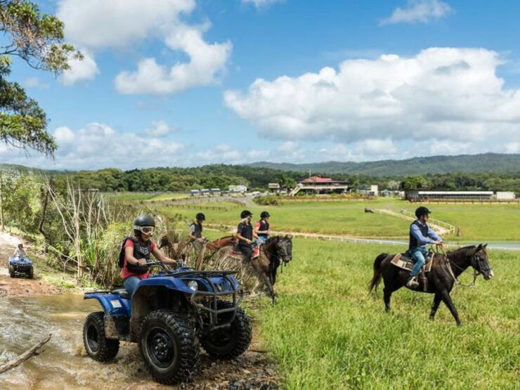 Cairns: Skyrail Quad Biking Zoo Kuranda Half-Day - Activity Details