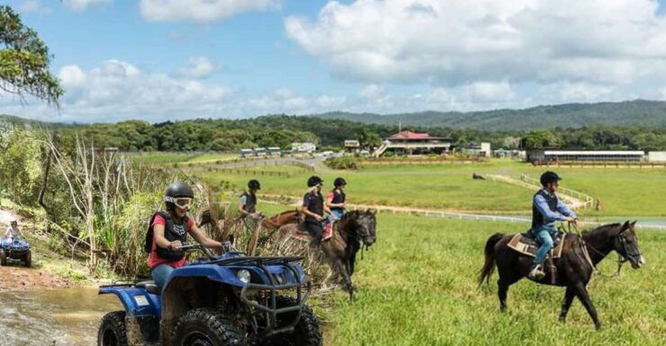 Cairns: Skyrail Quad Biking Zoo Kuranda Half-Day - Customer Reviews