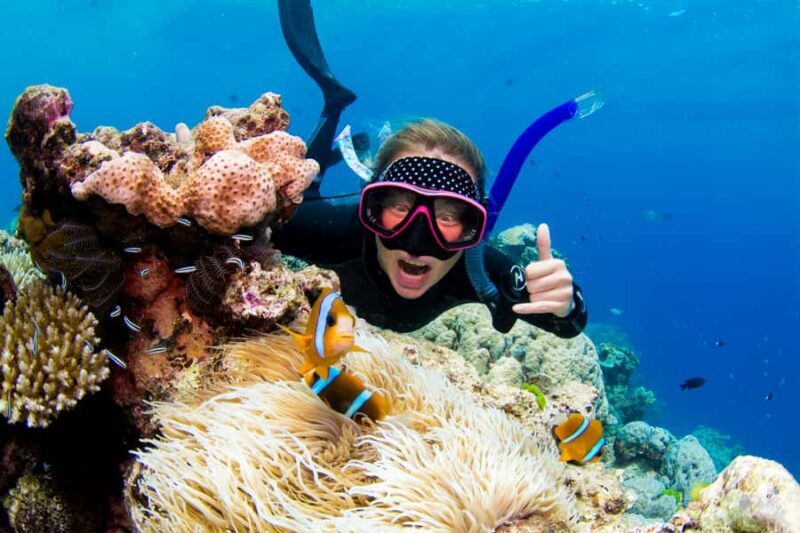 Cairns: Snorkelling and Diving Reef Day Trip - What Sets This Tour Apart?