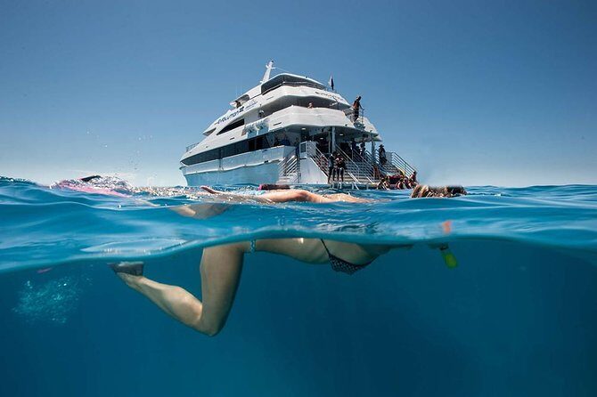 Cairns Super Saver: Reef Cruise, Daintree & Kuranda Rail/Skyrail - An In-Depth Look at the Cairns Super Saver Experience