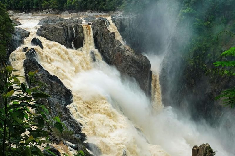 Cairns Tablelands Full-Day Tour with Rock Wallabies - What makes this Tablelands day worthwhile