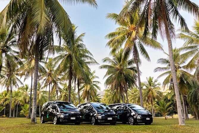 Cairns to Mission Beach ONE WAY Private Transfer 6 pax - Transportation & Logistics