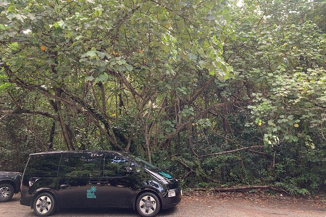 Cairns to Mission Beach ONE WAY Private Transfer 6 pax - FAQ