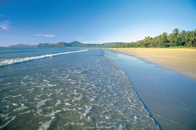 Cairns to Port Douglas ONE WAY Private Transfer 6 pax - Who Should Book This Transfer?