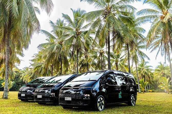 Cairns to Port Douglas ONE WAY Private Transfer 6 pax - FAQ