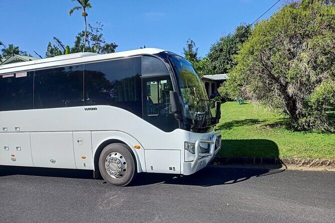 Cairns to Port Douglas Private Transfer - Good To Know