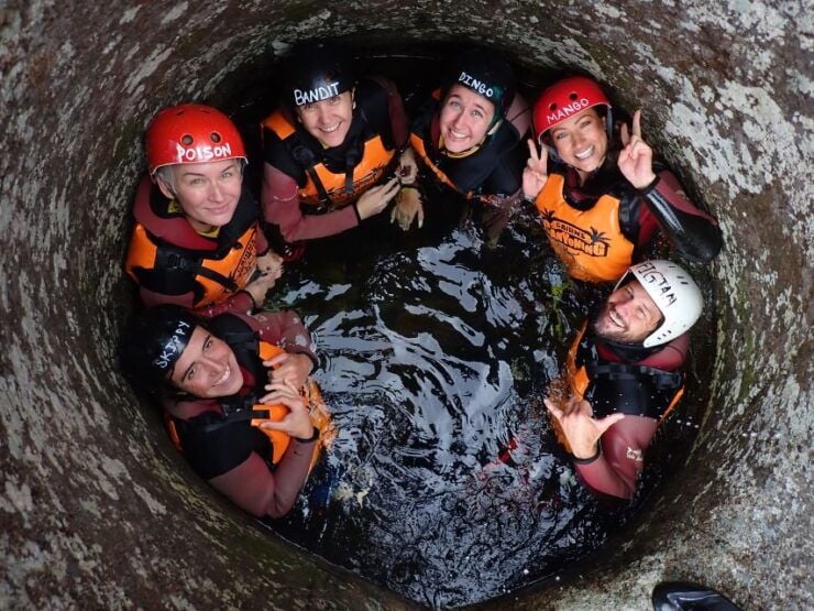 Cairns: Waterfalls Rainforest Experience - Activity Experience