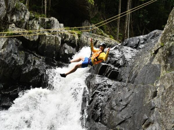 Cairns: Waterfalls Rainforest Experience - Directions