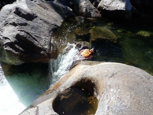 Cairns: Waterfalls Rainforest Experience - The Sum Up