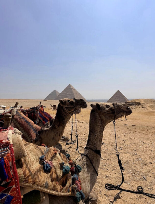 Cairo 2-Day Private City Highlights Tour with Nile Dinner - How to judge the price and ticket options