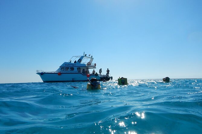 Cairo 5DAYS Shortbreak the Most Sightseeing, and Alexanderia - Sightseeing in Cairo