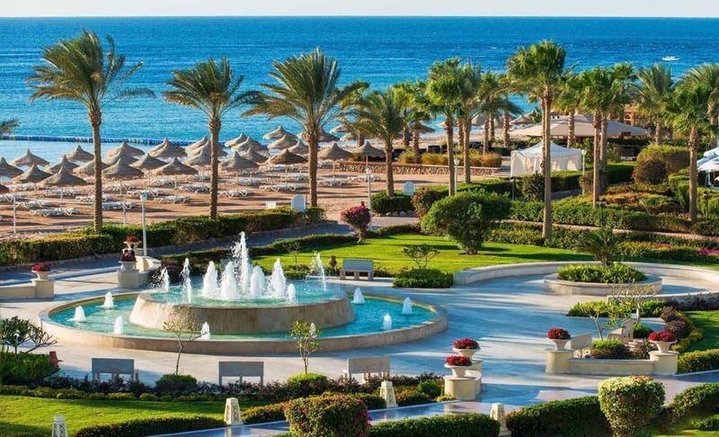 Cairo Ain Sokhna Full-Day Private Beach Escape - What matters before you book