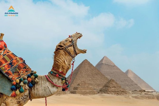 Cairo and Nile Cruise Tour - Tour Highlights