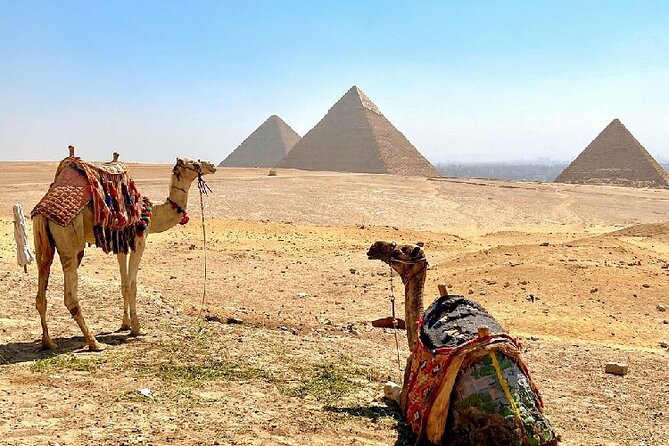 Cairo by Bus From Hurghada (Sphinx, Pyramids, Egyptian Museum and Lunch ) - Cancellation Policy