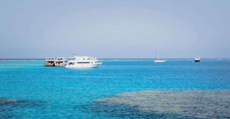 Cairo : Day Trip at the Red Sea at Stella Di Mare - Activity Details