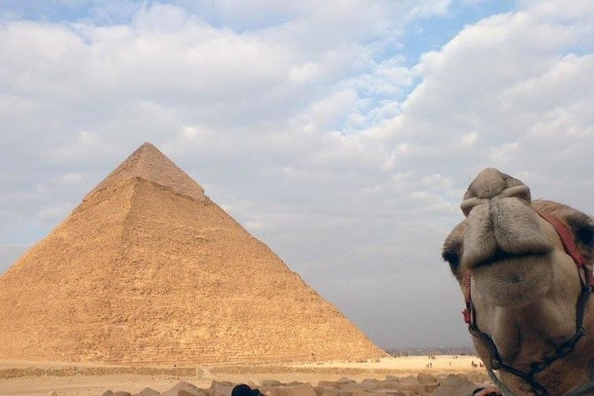 Cairo From Hurghada By Bus - Departure Point and Time