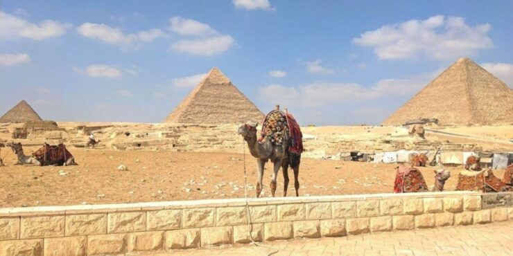 Cairo: Giza Pyramids, Egyptian Museum Day-Trip, Camel, Lunch - Booking Details