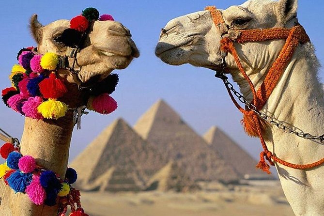 Cairo : Giza Pyramids ,Sphinx , Sakkara & Memphis Full-Day Tour With Camel Ride - Tour Highlights