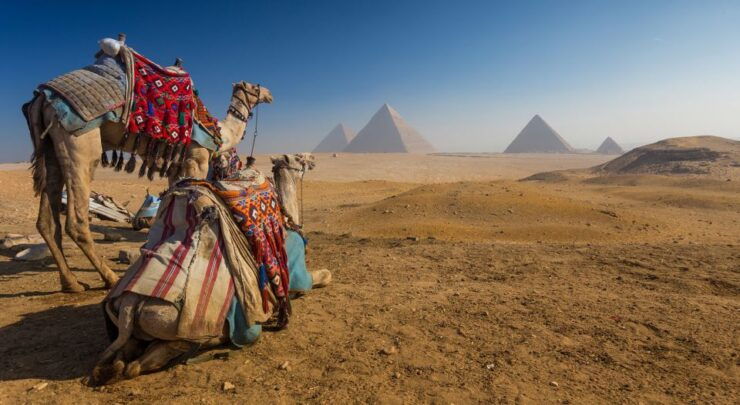 Cairo: Great Pyramids of Giza and Egyptian Museum Tour - Tour Highlights and Inclusions