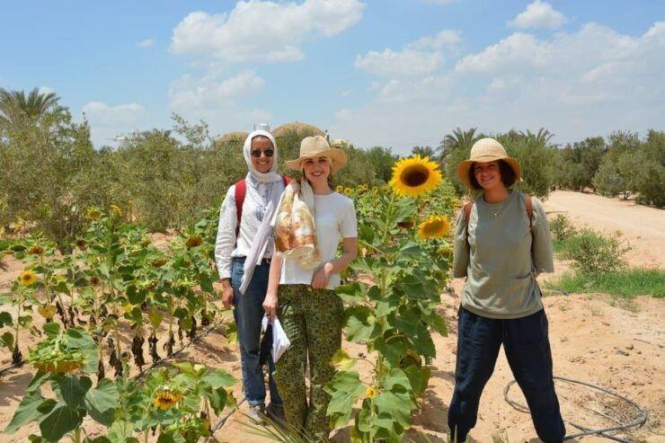 Cairo: Having Breakfast At Green Farm - Overview of Green Farm Breakfast Experience