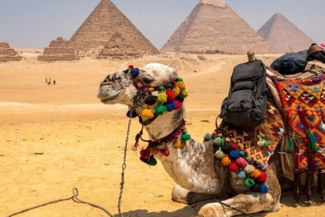 Cairo Highlights in a Full Day From Sharm El-Sheikh - Special Offer