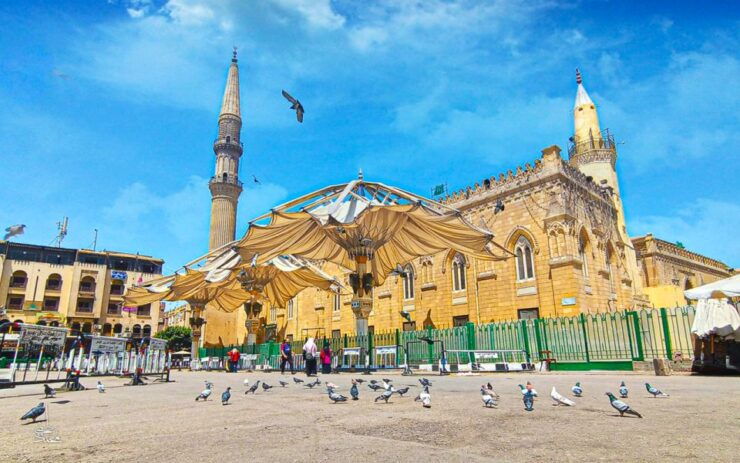 Cairo: Islamic Cairo and Mosques Private Sightseeing Tour - Accessibility and Private Group Options