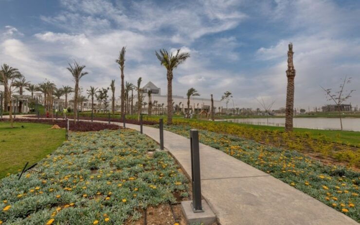 Cairo: National Museum, Egyptian Museum, and Citadel Tour - Activity Information