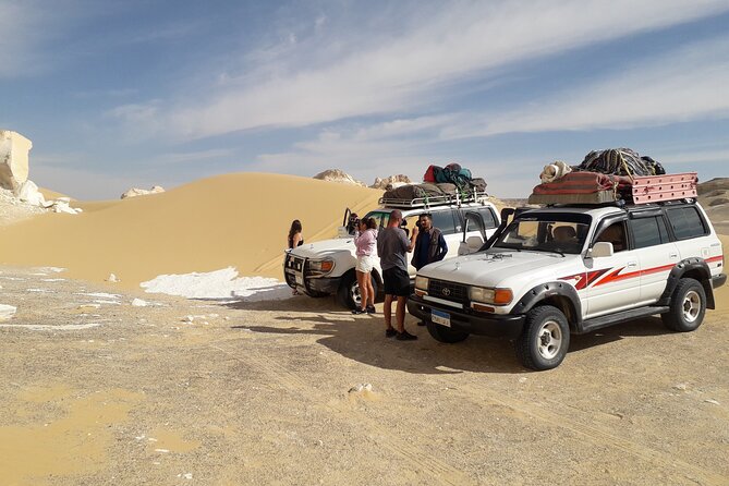 Cairo Private 2-Day Bahariya Oasis Camping Tour  - Western Desert - The Sum Up