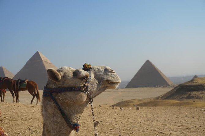 Cairo Private Layover Tour to Pyramids of Giza and Sphinx - Reserve Now, Pay Later