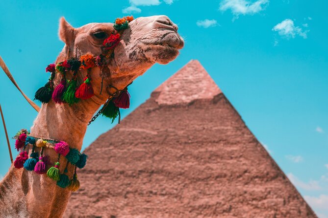 Cairo Private Tour : Like a Local - Itineraries