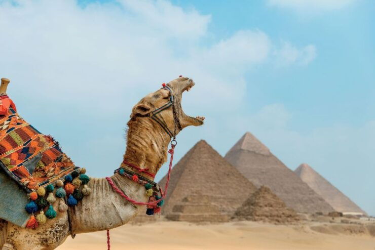 Cairo: Pyramids, Egyptian Museum and Citadel Tour With Lunch - Sightseeing Details